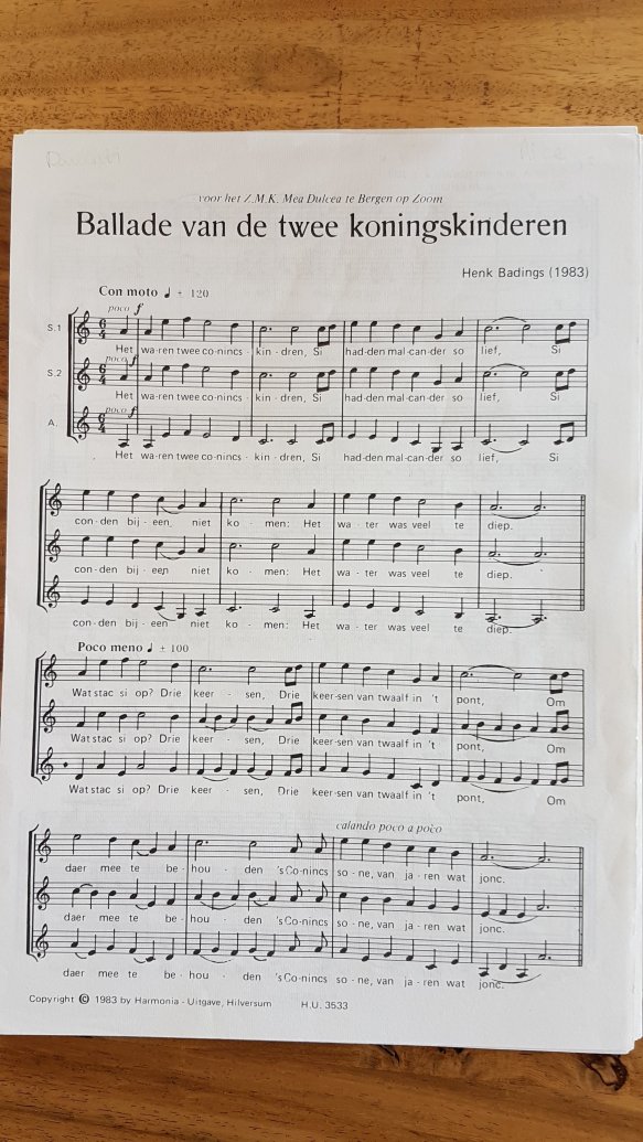 Ballade van de 2 konings kinderen