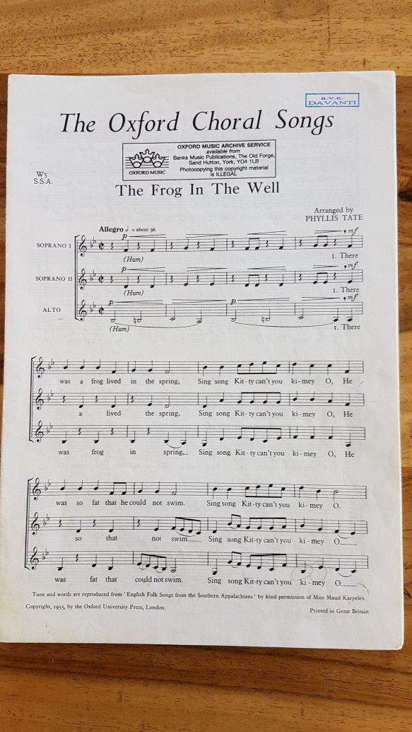 The frog in the well